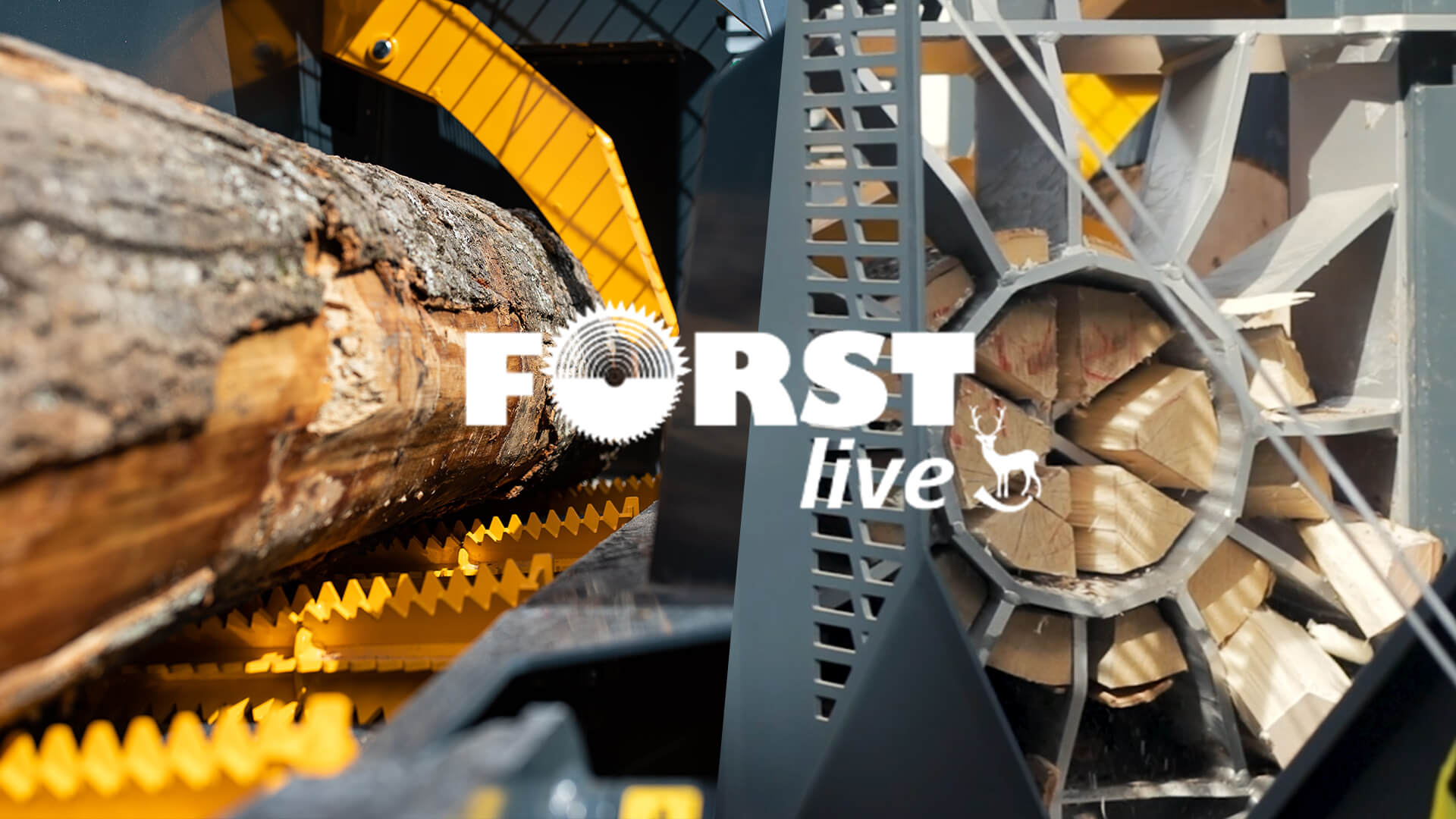 Vídeo: Uniforest no FORST Live 2024